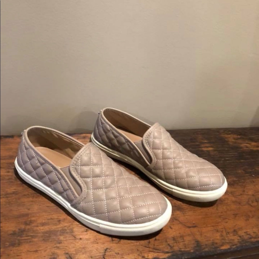 Steve Madden 'Ecentrcq' Sneaker